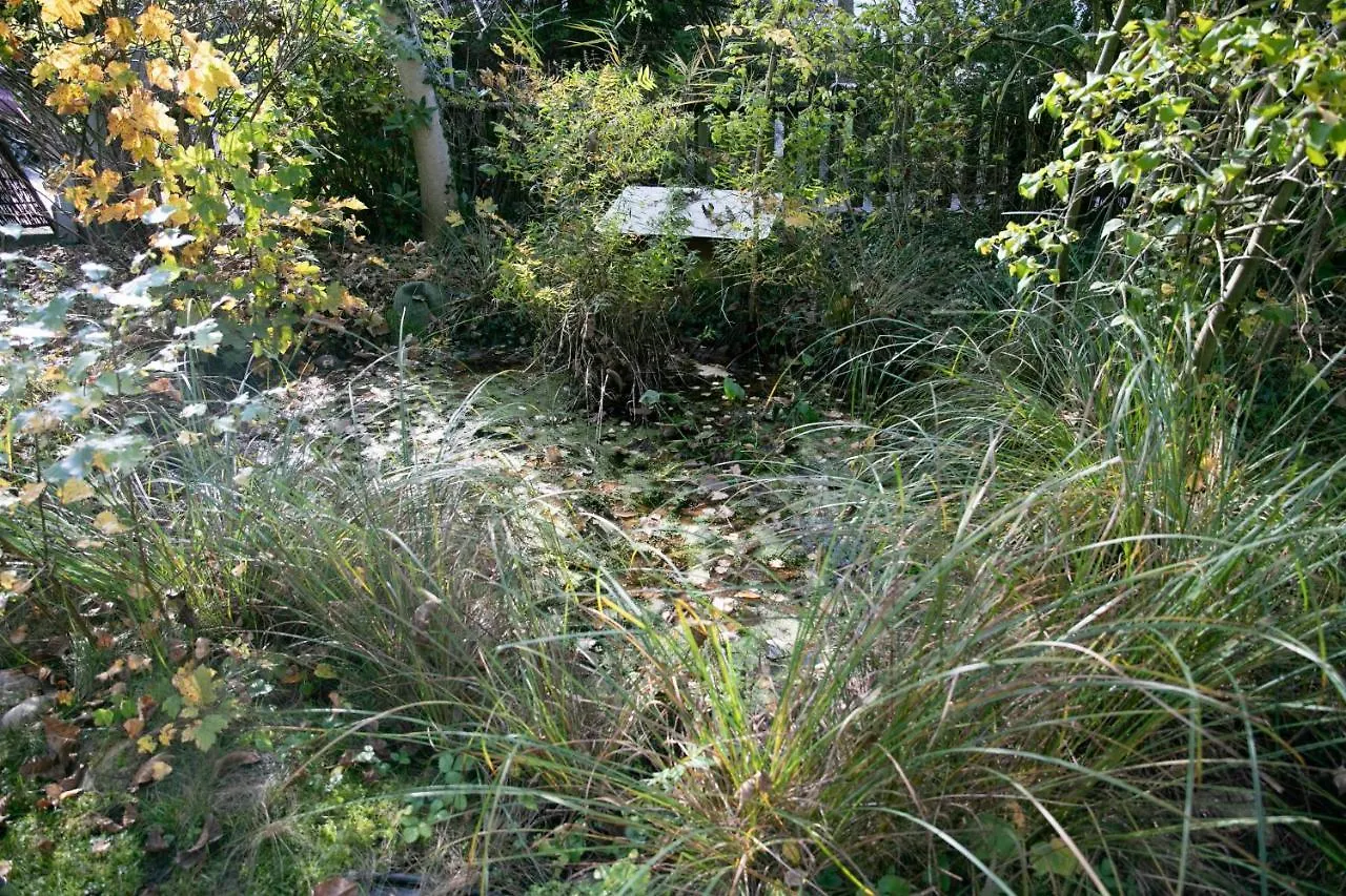 Villa Family Wellhouse Green Garden Direct In Salzburg, Sunny Big Garden, Up To 16 Pax, Bikes For Free, Bbq, Sunbeds, Parking For Free, 15 Min Sound Of Music Austria